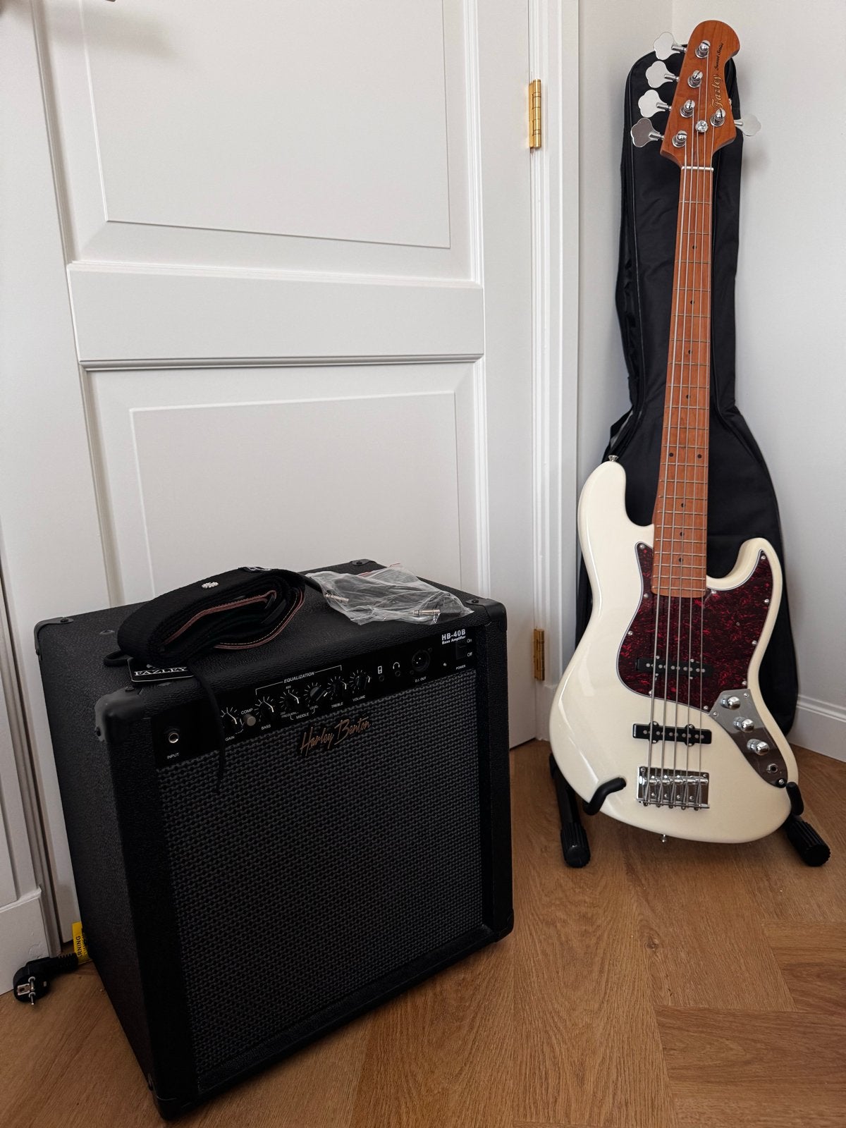 Complete Beginner Bass Guitar Setup - As New, Muziek en Instrumenten, Snaarinstrumenten | Gitaren | Bas, Ophalen, Zo goed als nieuw