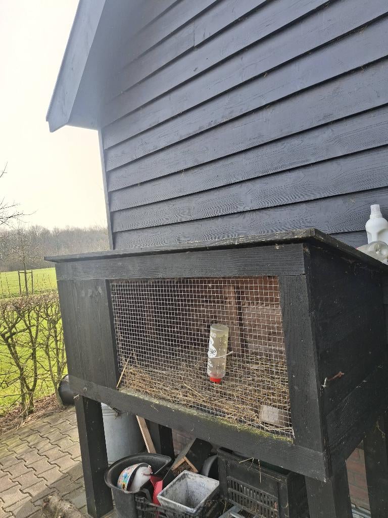 Konijnenhok, Dieren en Toebehoren, Knaagdieren en Konijnen | Hokken en Kooien, Ophalen, 90 cm of meer, Konijn, Hok