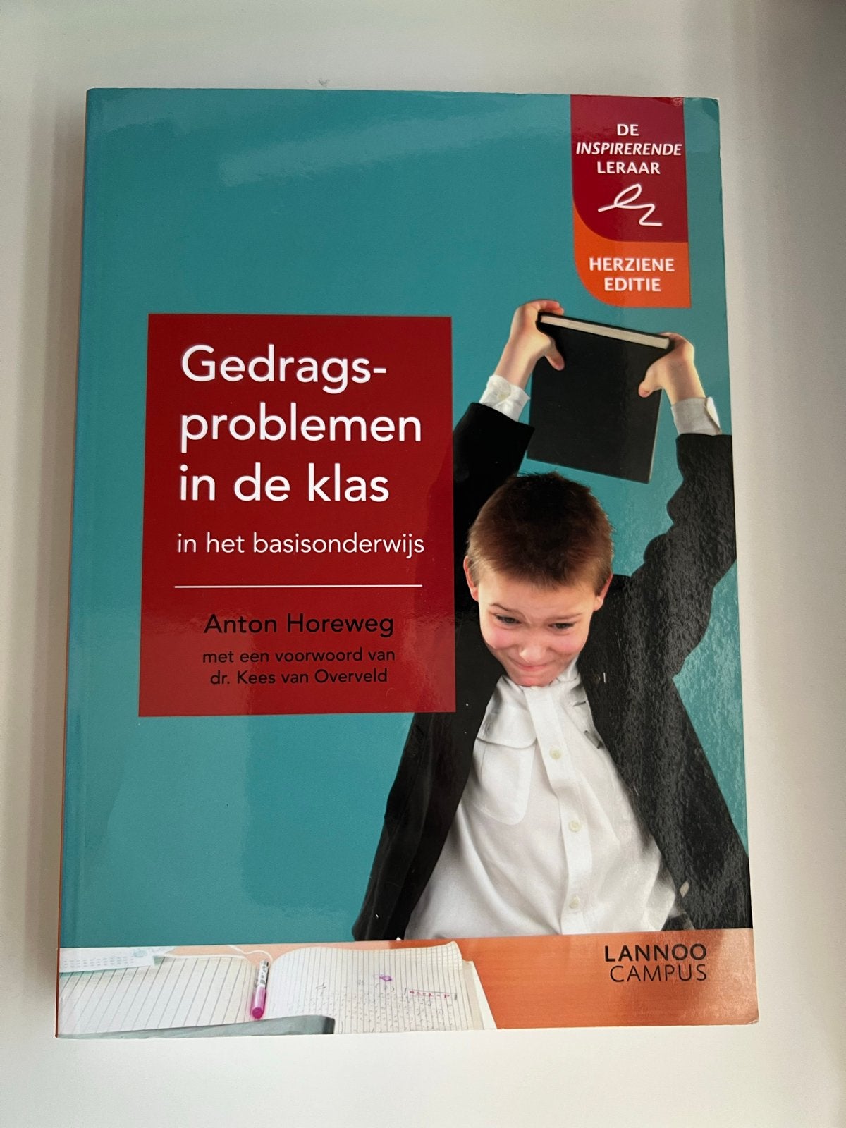 Gedragsproblemen in de klas - Anton Horeweg, Boeken, Studieboeken en Cursussen, Ophalen of Verzenden, Gamma, Zo goed als nieuw