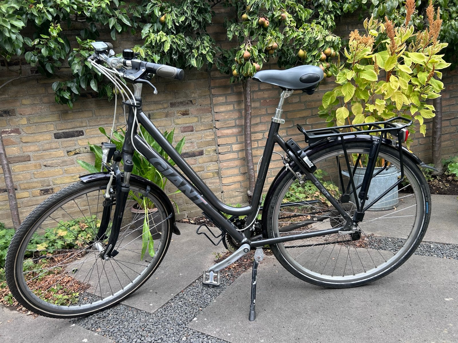 Giant Freerider Damesfiets 24 versnellingen Framemaat L, Fietsen en Brommers, Ophalen, Gebruikt, Meer dan 20 versnellingen, 56 cm of meer