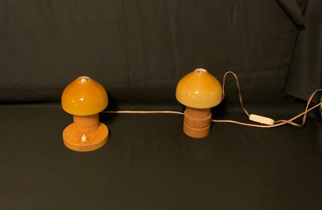 Twee Aneta tafellampjes, Ophalen, Minder dan 50 cm