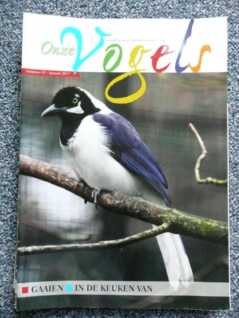 Onze vogels 2017, Boeken, Ophalen, Gelezen, Overige typen