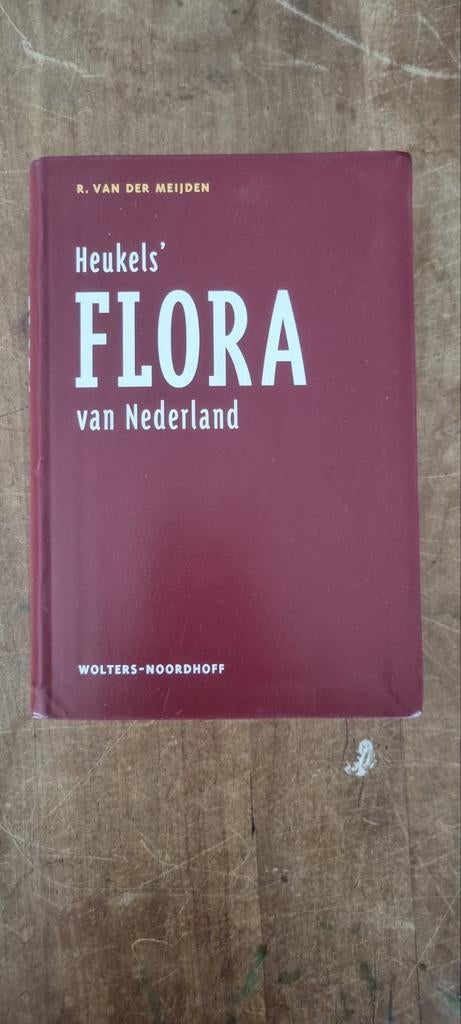 Heukels' Flora van Nederland - Botanisch Handboek, Boeken, Natuur, Ophalen of Verzenden, Gelezen, Bloemen, Planten en Bomen, R. van der Meijden