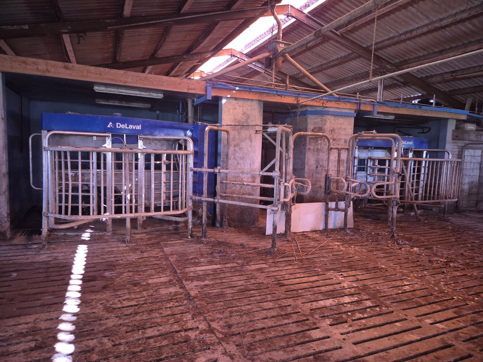 DeLaval melkrobot met selectiepoort, Dieren en Toebehoren