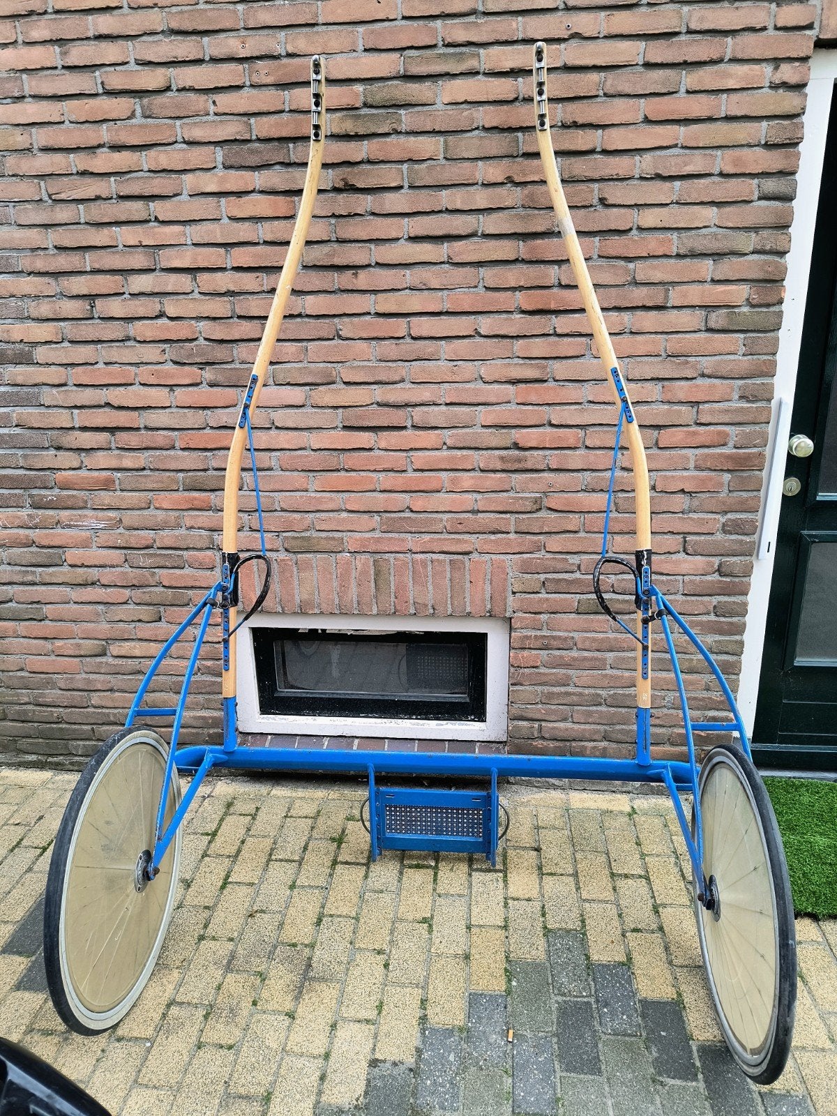 Jerald wedstrijd sulky's, Marathonwagen, Paard