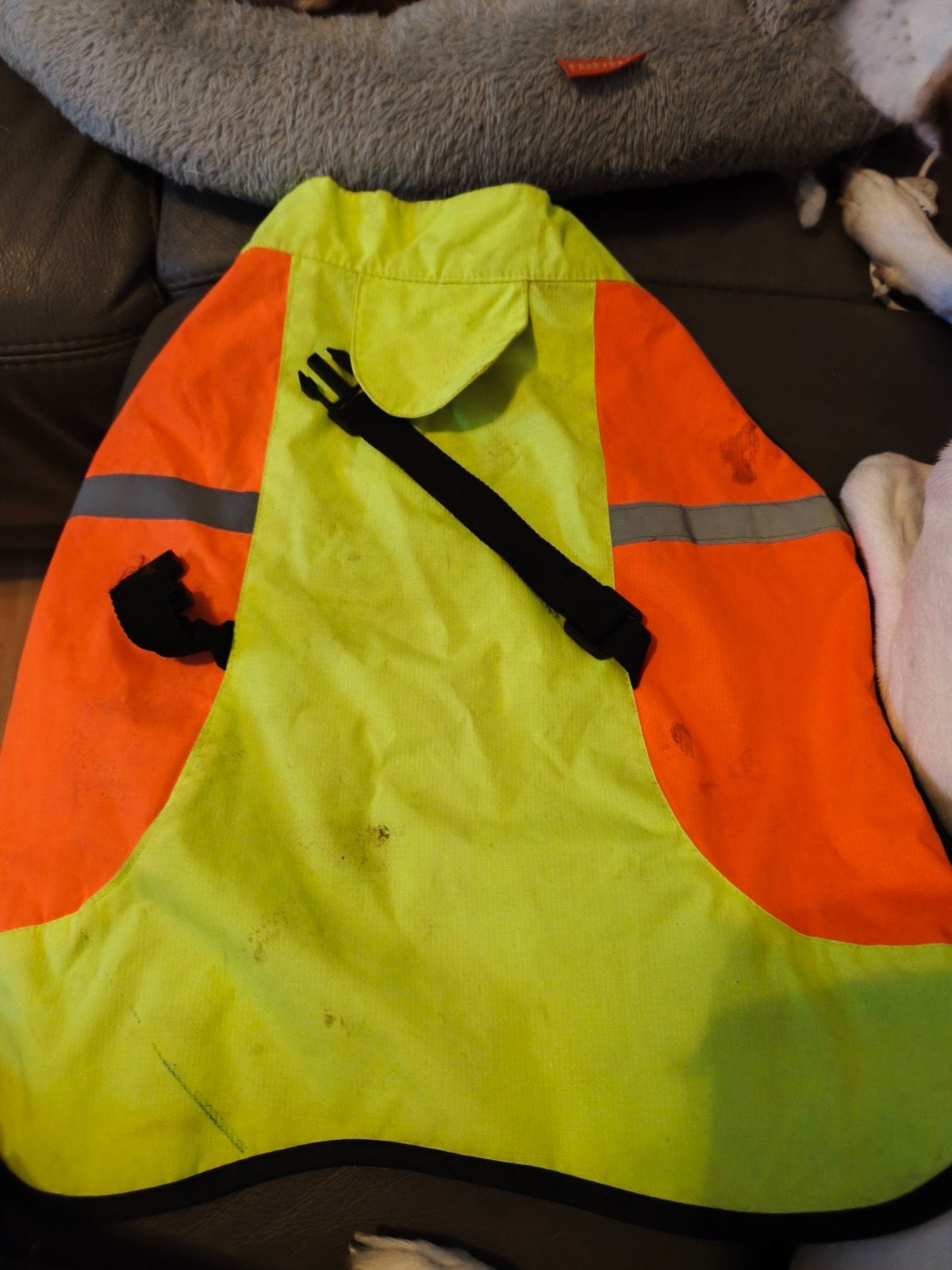 honden jas, Dieren en Toebehoren, Ophalen of Verzenden, Hondenjas
