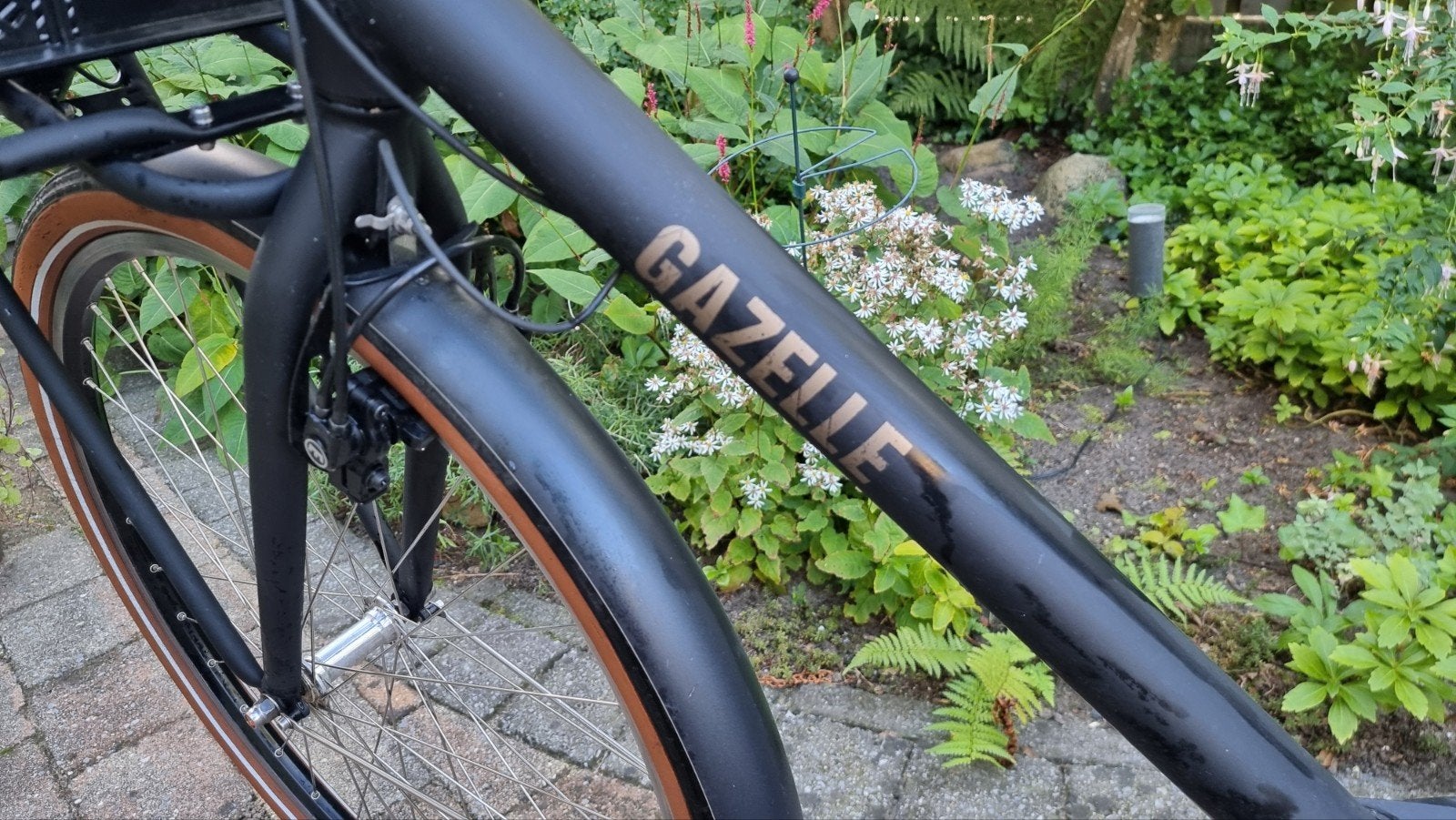 Foto 14 van Gazelle Heavy Duty C7 HMB (2019) – H59 – Mat Zwart – 5300 km