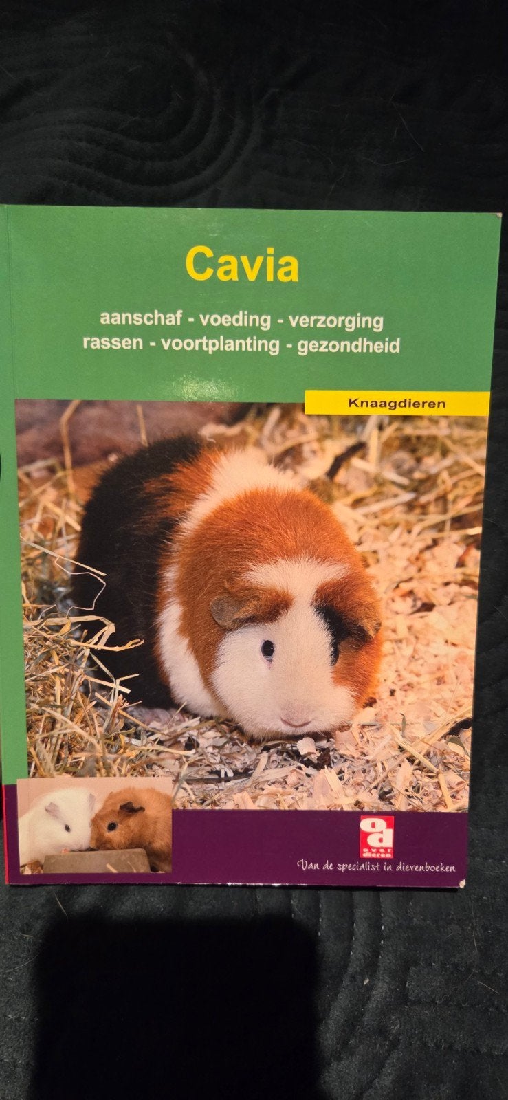 De cavia, Boeken, Ophalen of Verzenden, Zo goed als nieuw
