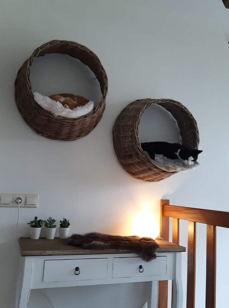 Prachtige kattenmand voor aan de muur., Ophalen of Verzenden, Zo goed als nieuw, Riet