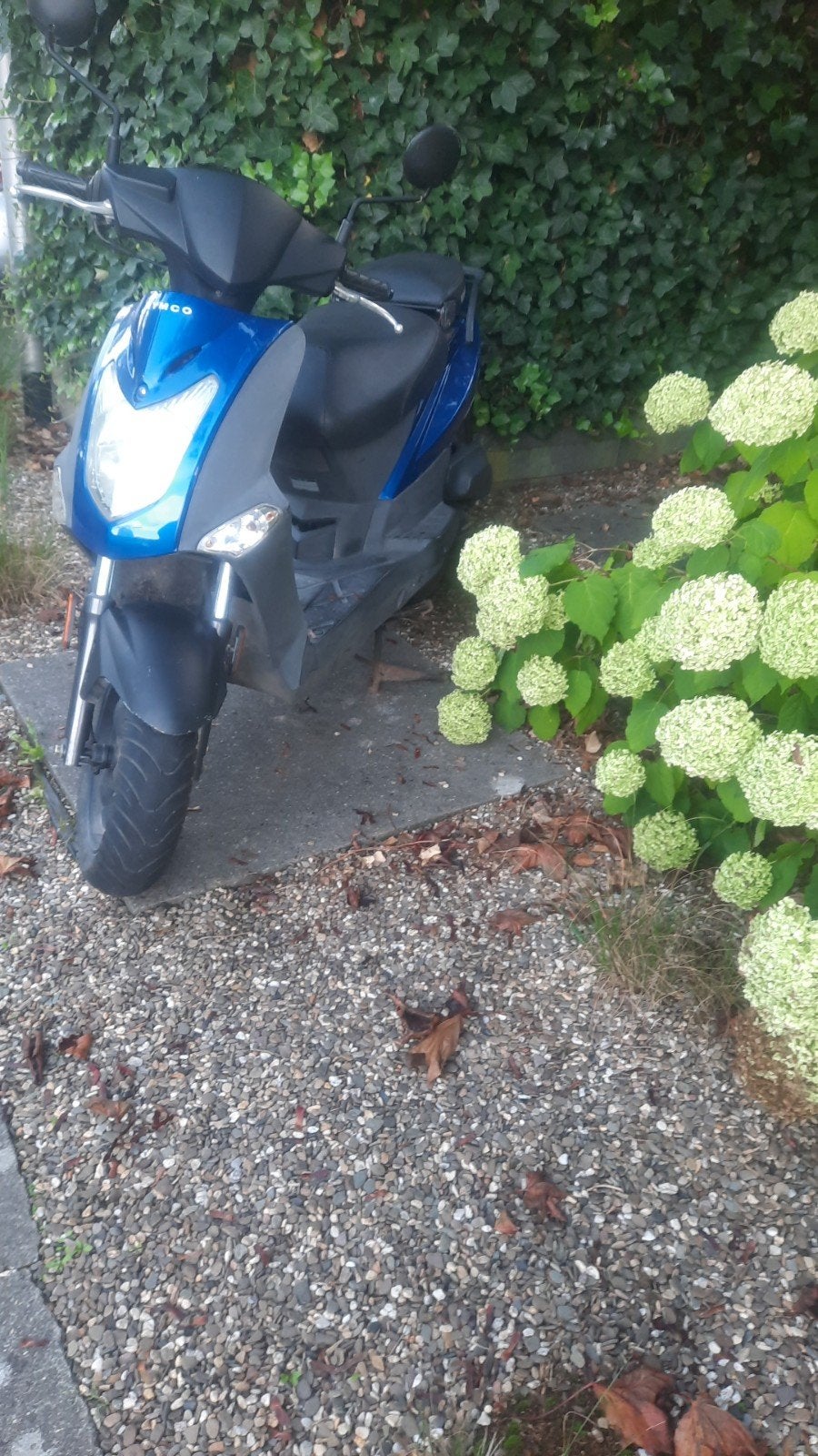 scooter kymco, Ophalen, Gebruikt, Benzine, Agility