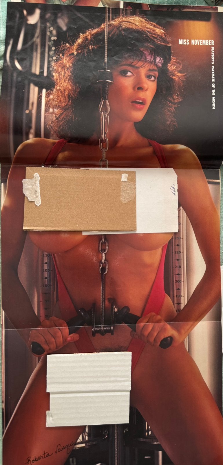 Poster Playmate Roberta Vasquez Playboy, Verzenden, Deurposter of groter, Rechthoekig Staand, Overige onderwerpen
