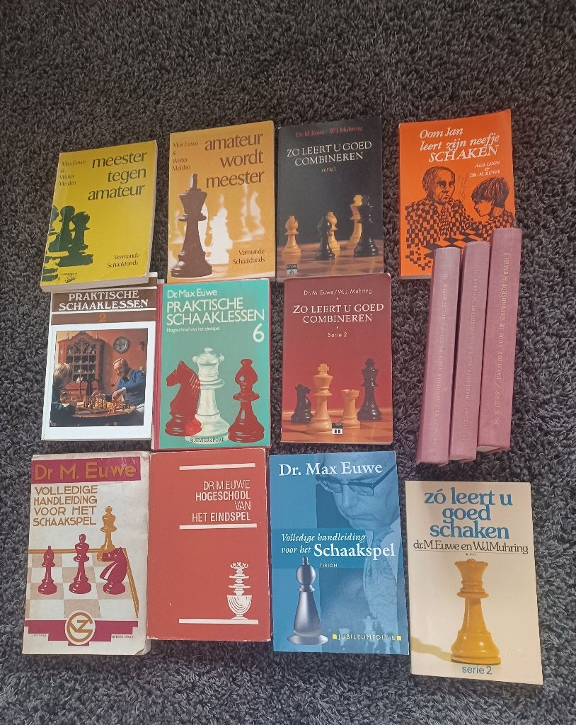 SCHAAKBOEKEN, Ophalen of Verzenden, Minder dan 500 stukjes, Gebruikt, Schaken