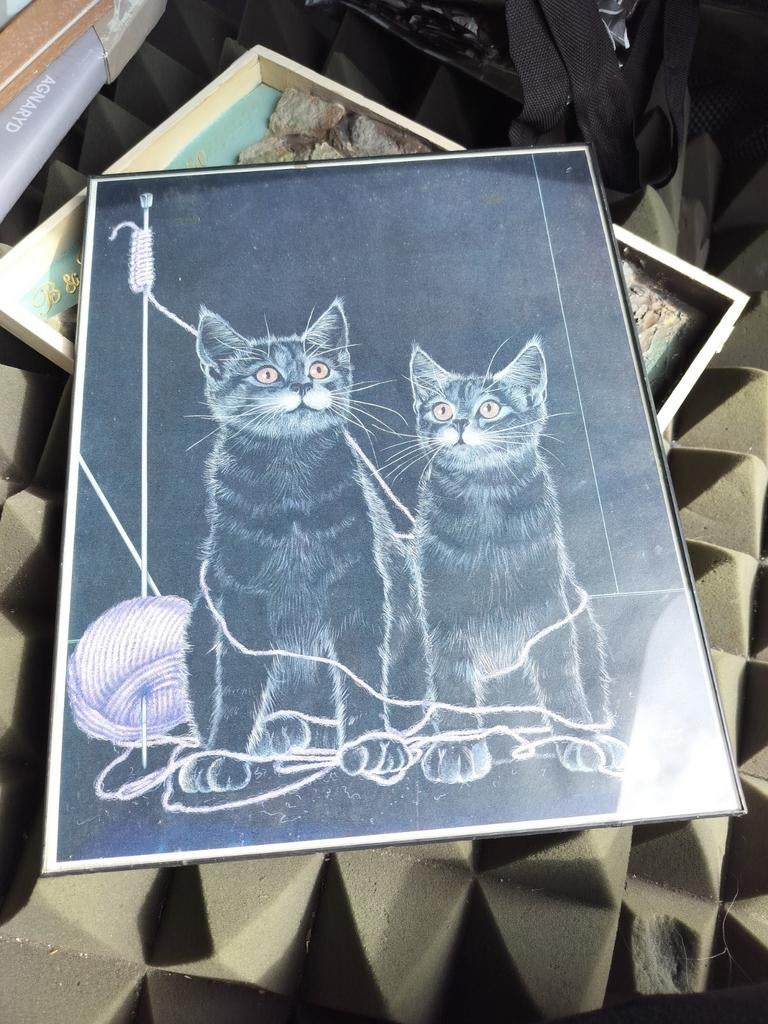 Ingelijste print van twee schattige katten, Antiek en Kunst, Ophalen of Verzenden