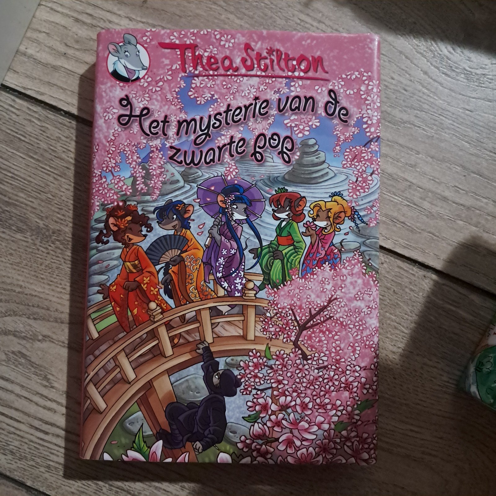 Thea Stilton - het mysterie van de zwarte pop, Boeken, Ophalen of Verzenden, Zo goed als nieuw, Thea Stilton