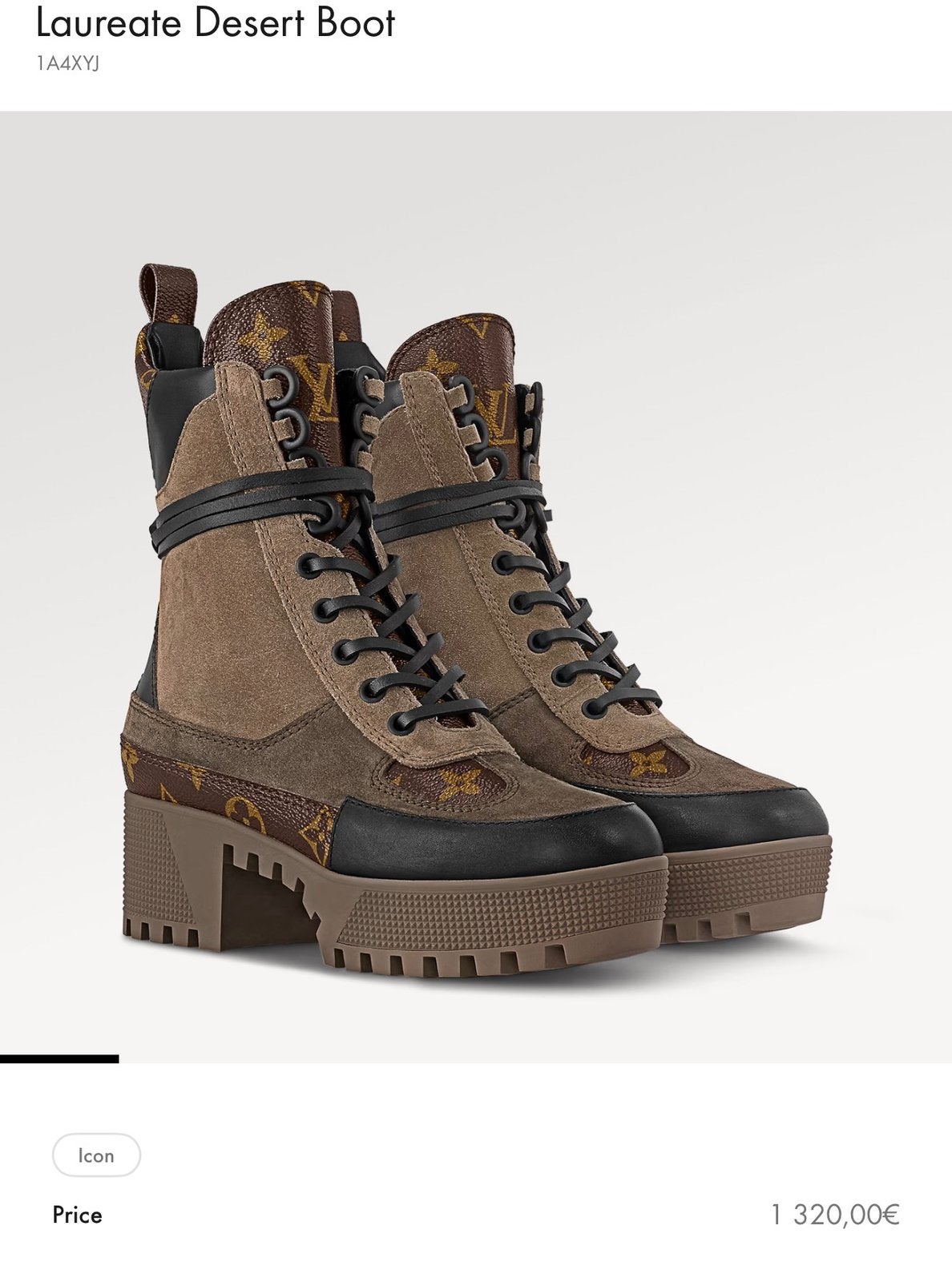 Louis vuitton dessert boots ( dames schoenen desinger), Ophalen of Verzenden, Zo goed als nieuw, Zwart