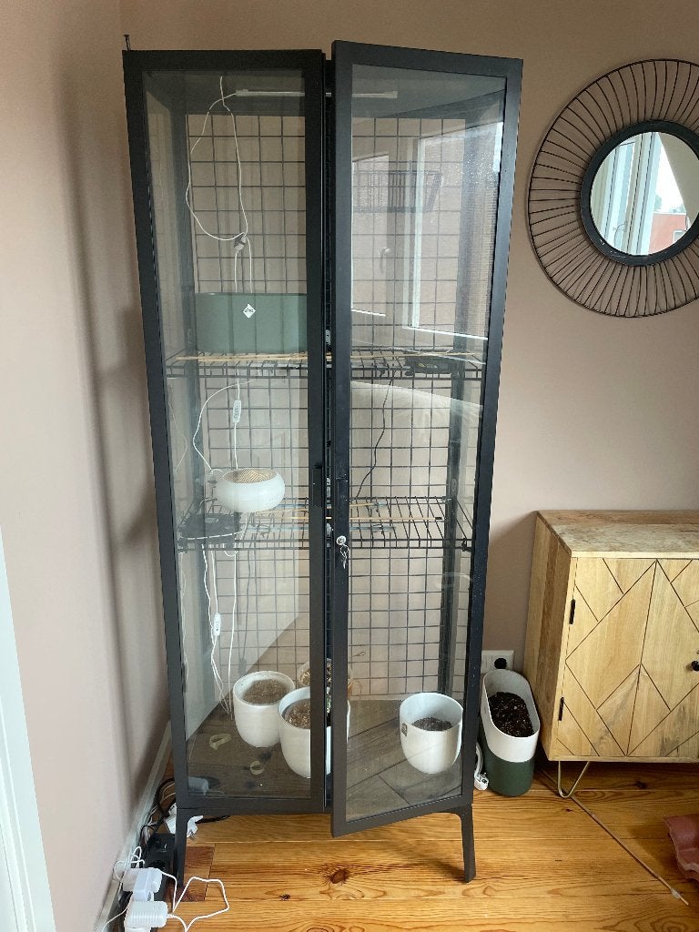 IKEA Milsbo vitrinekast als plantenkast, Ophalen, Gebruikt, 50 tot 100 cm, 150 tot 200 cm