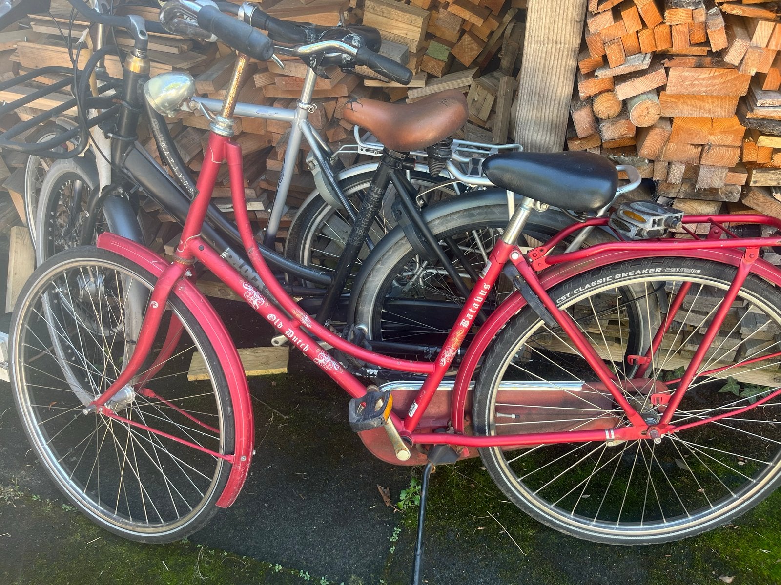Batavus damesfiets - Ideaal als stationsfiets, Ophalen, Terugtraprem, Gebruikt, Batavus