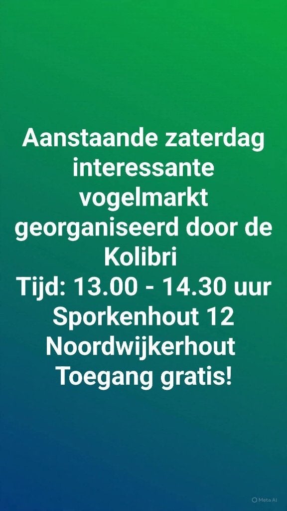 let op datum 29 aug, Mannelijk, Parkiet
