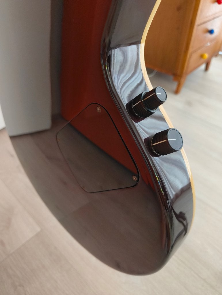 Foto 6 van Guild Songbird gitaar met case