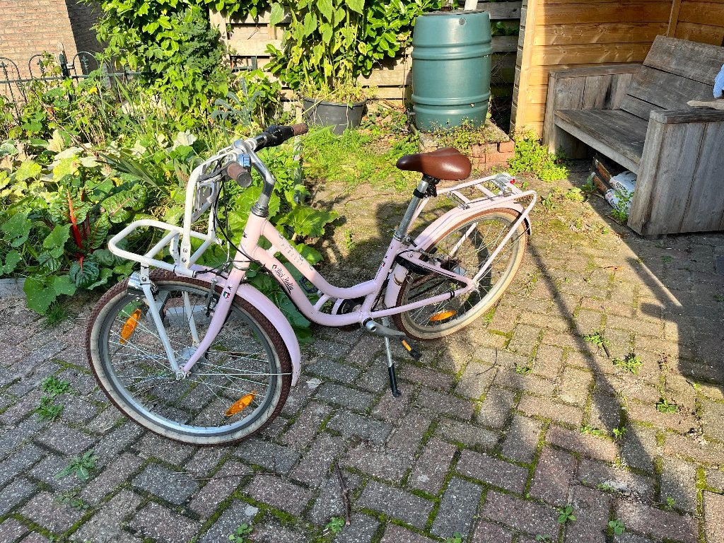 Kinderfiets, Ophalen, Gebruikt, Pegasus, Terugtraprem
