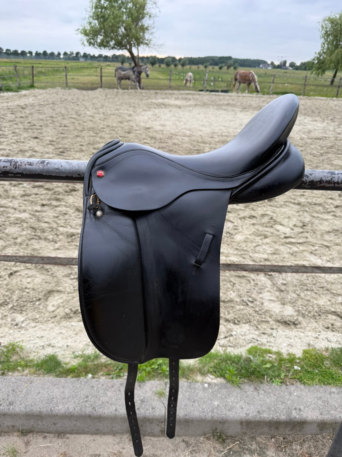 Albion legend 16.5, Ophalen of Verzenden, Dressuur