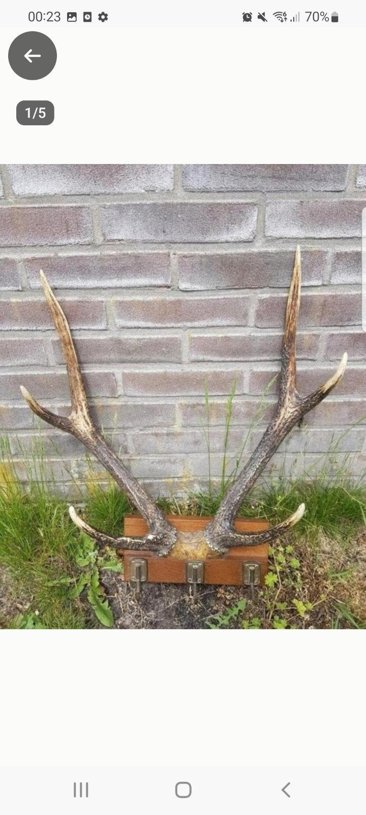 Prachtig uniek Rusa Sambar hert ( Aziatisch ) kapstok ! Haak, Ophalen of Verzenden, Zo goed als nieuw, Hert, Gewei of Kop