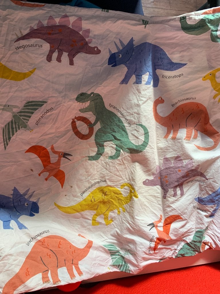 HEMA Dino Dekbedovertrek - Leuk voor de kinderkamer!, Ophalen, Gebruikt, Dekbedovertrek, Hema
