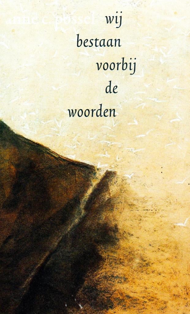 Wij Bestaan Voorbij De Woorden - Anne Possel 9789081643580, Boeken, Ophalen of Verzenden, Zo goed als nieuw, Anne C. Possel, Eén auteur