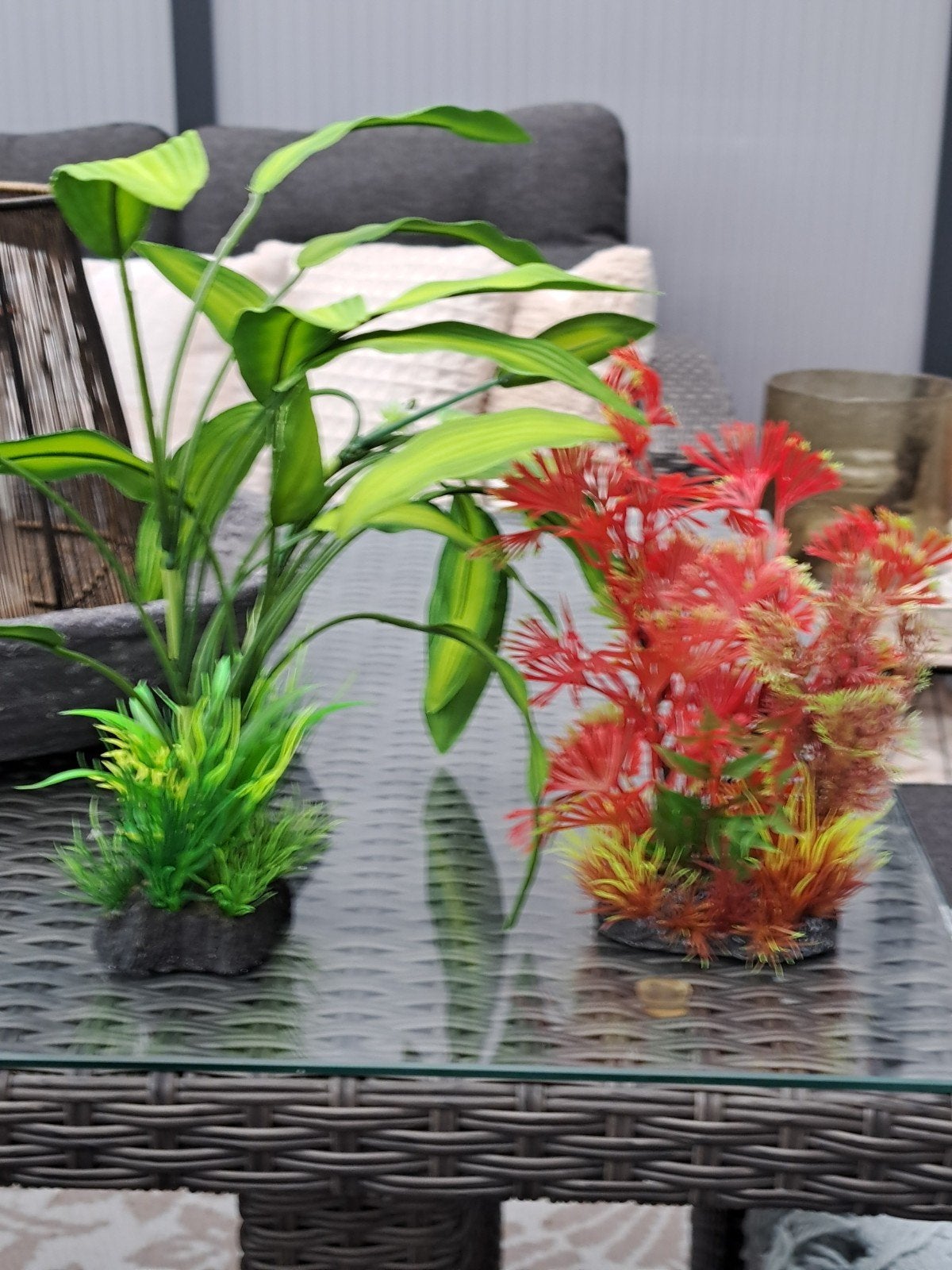 aquarium nepplanten, Dieren en Toebehoren, Ophalen, Nieuw, Decoratie