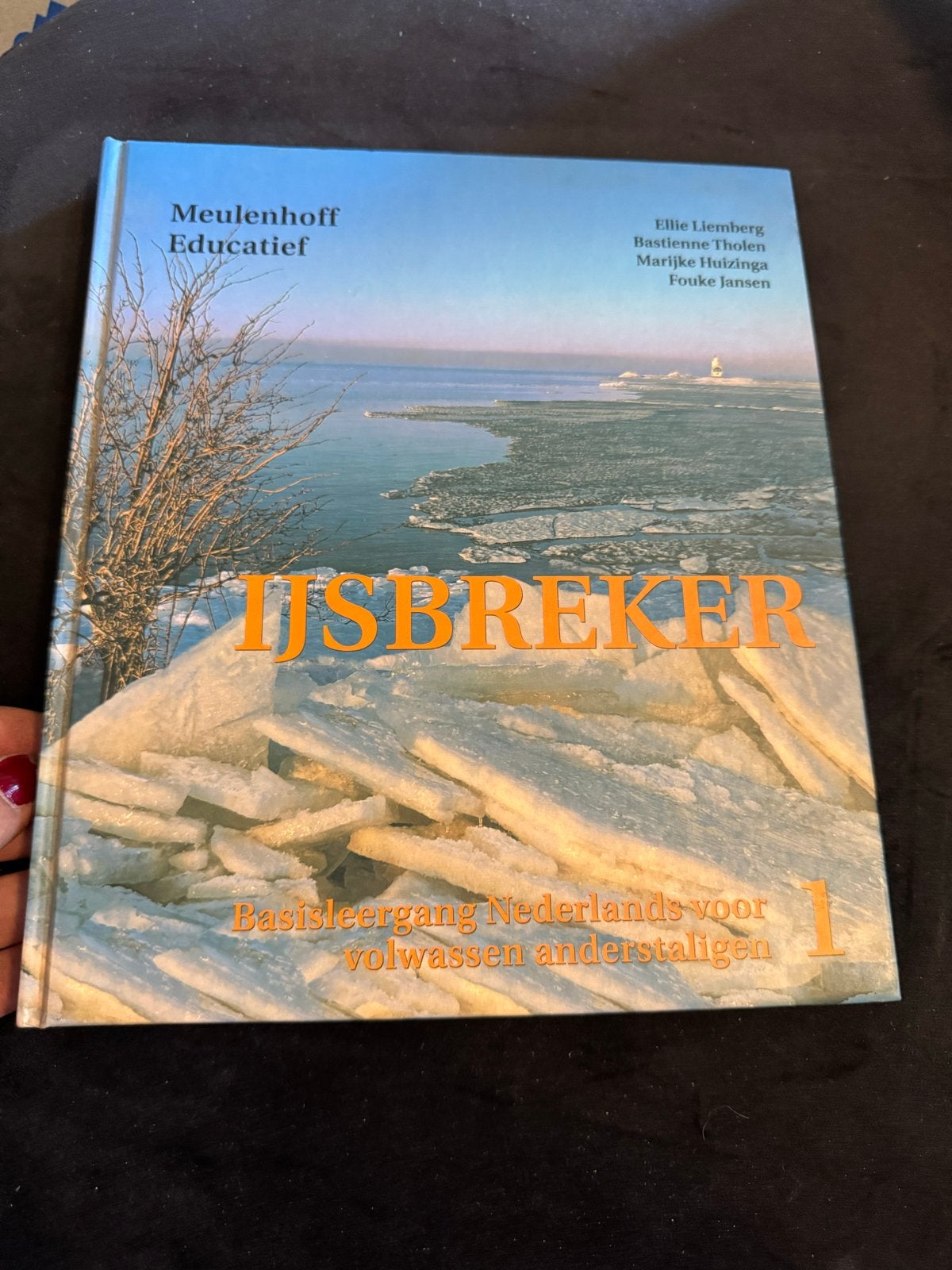 IJsbreker 1 Tekstboek - Basisleergang Nederlands NT2, Boeken, Studieboeken en Cursussen, Ophalen of Verzenden, Alpha, Gelezen