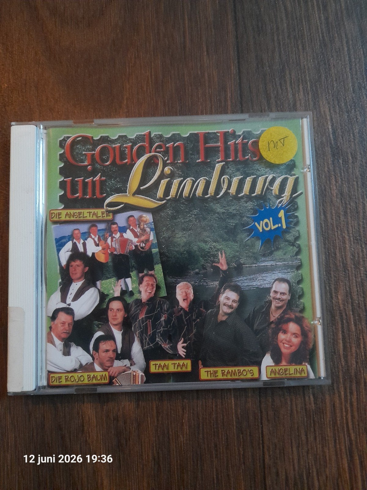 Gouden Hits uit Limburg Vol. 1 CD - Diverse Artiesten, Cd's en Dvd's, Ophalen of Verzenden, Gebruikt, Streekmuziek