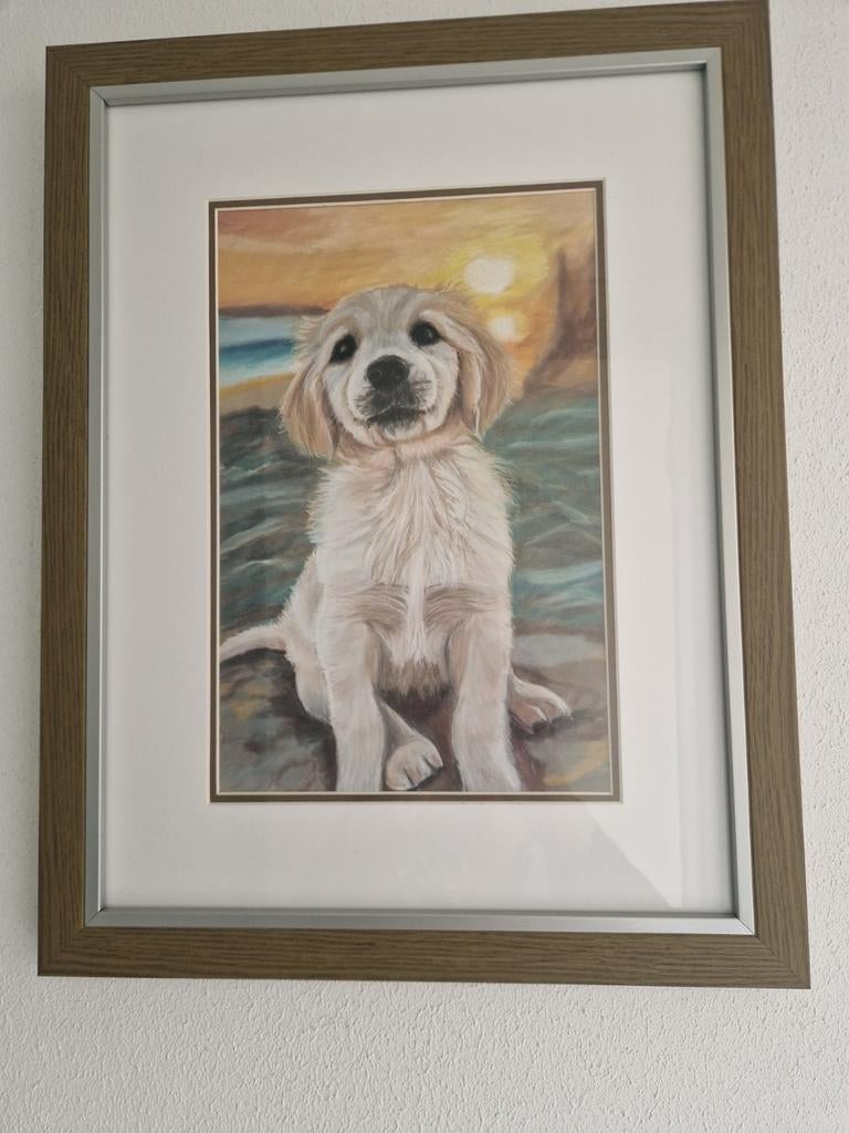 Golden retriever pup, pasteltekening, Ophalen of Verzenden