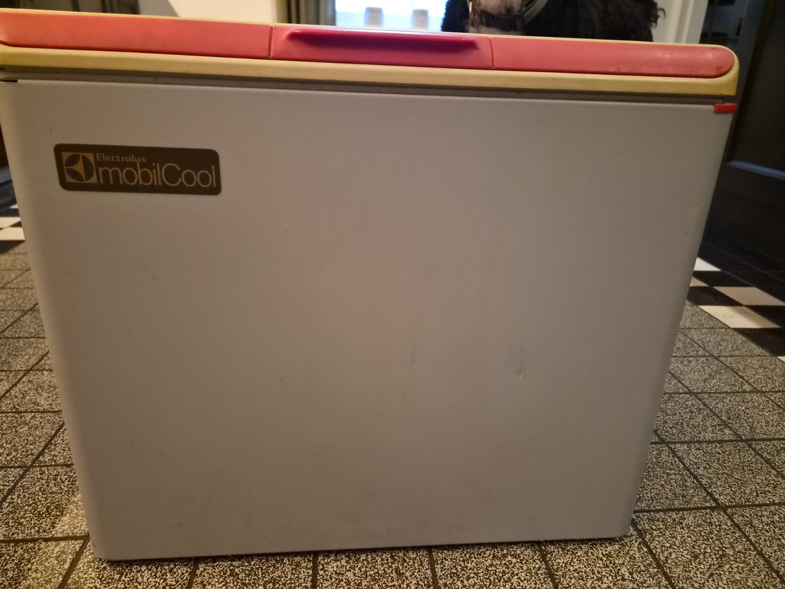 Foto 6 van Electrolux Camping Koelkast - Gas, 12V, 220V