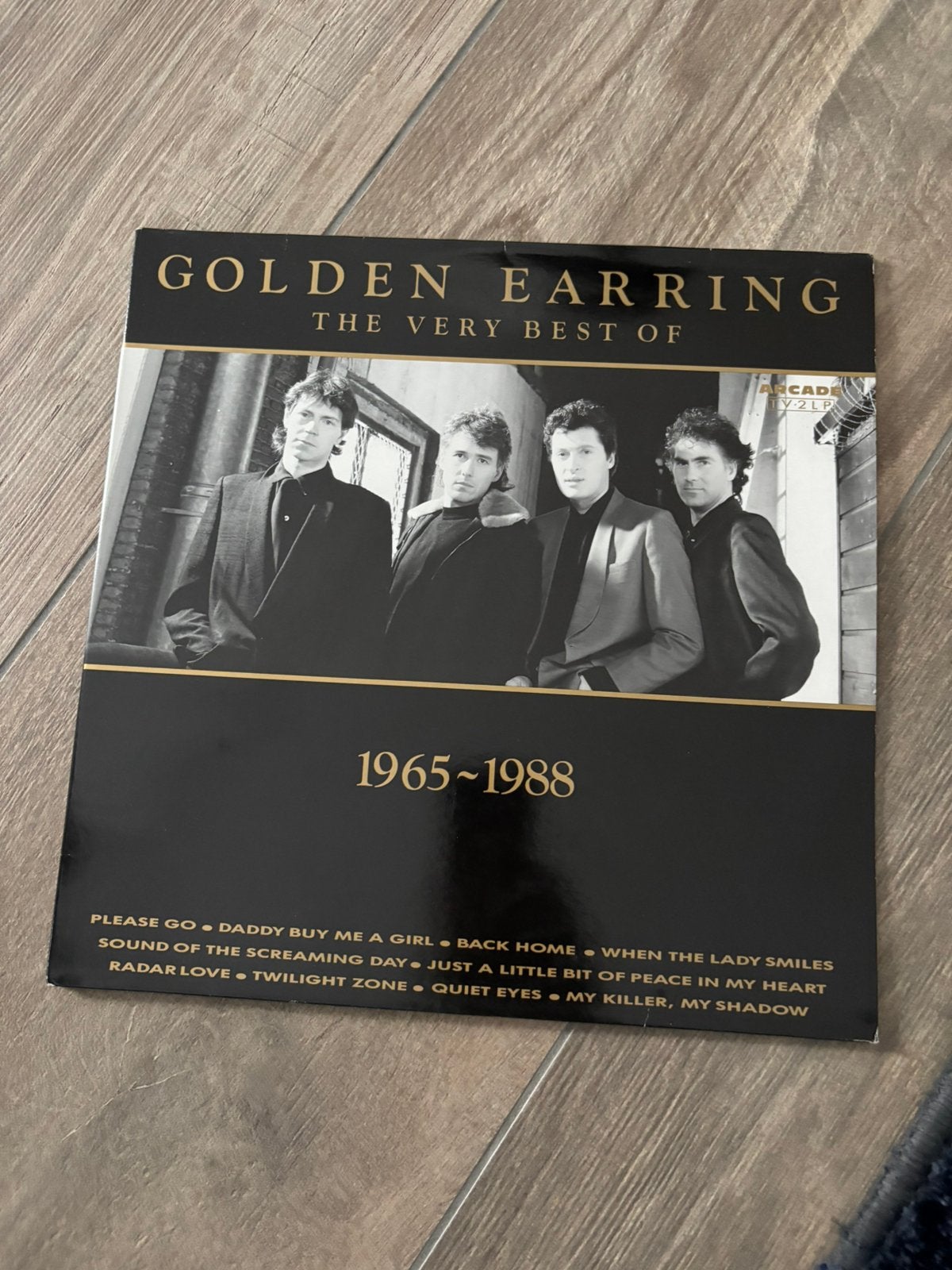 Golden earring the very best of 1965-1988 dubbel LP, Ophalen of Verzenden, Gebruikt, 12 inch