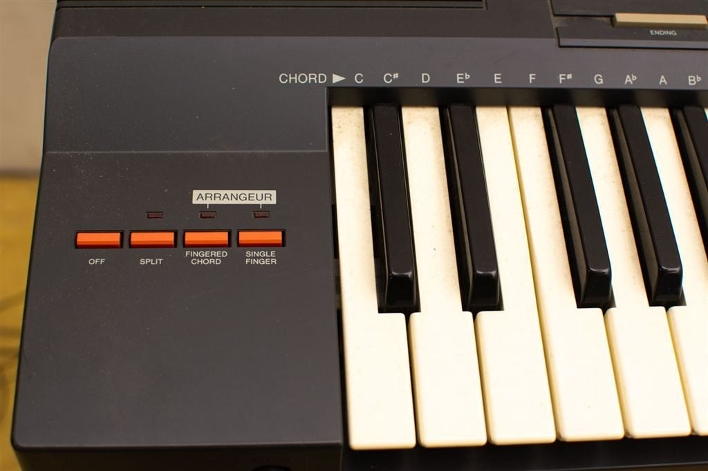 Hohner PK 100 keyboard met standaard 39621, Overige merken, Ophalen of Verzenden, Met standaard, 61 toetsen