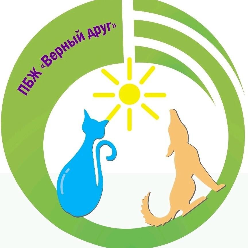 Dierenasiel zoekt helpende handen, spenden, Diensten en Vakmensen, Particuliere oppas