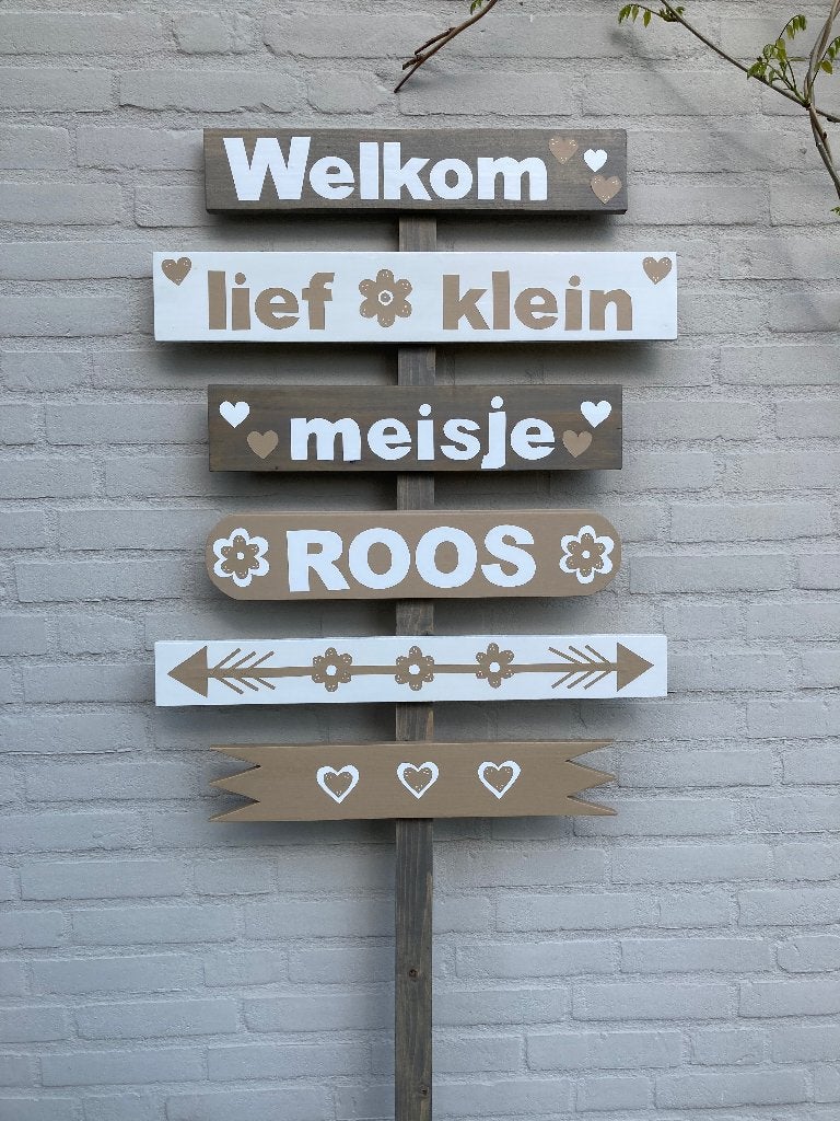 Foto 5 van geboorte bord jongen en meisje