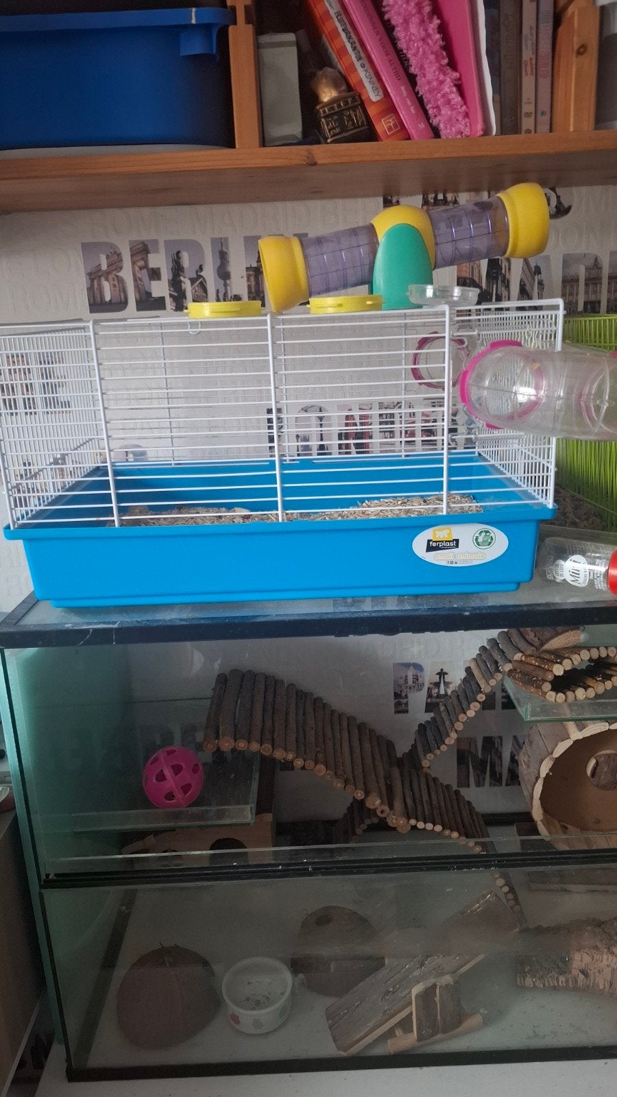 kaangdierterrarium + extras