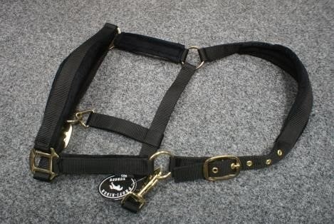 luxe zwart velvet halster full Profi Rider zachte stof, Nieuw, Ophalen of Verzenden, Halster, Profi-Rider