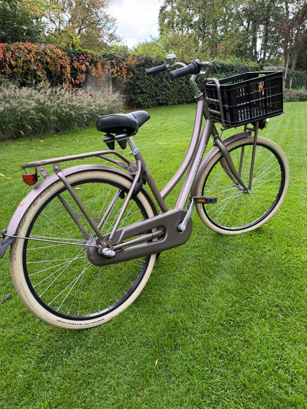 Batavus packd 26 inch rose, Ophalen, Gebruikt, Terugtraprem