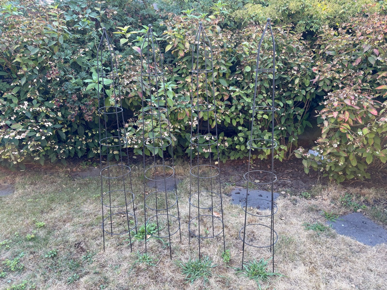 4 Obelisk Plantenrekken - 150 cm Hoog, Tuin en Terras, Planten | Tuinplanten, Ophalen, Klimplanten