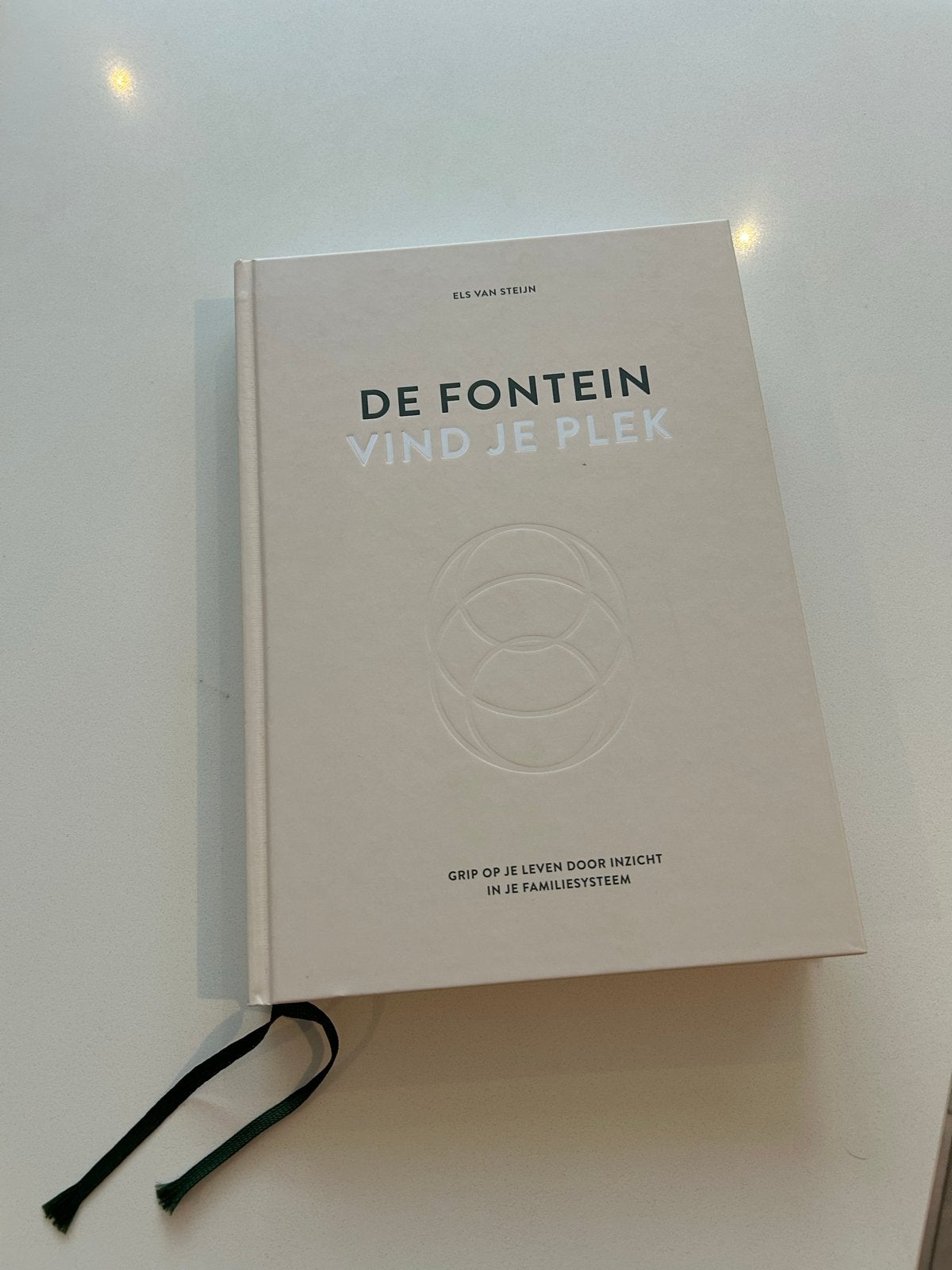 De Fontein: Vind je plek - Els van Steijn (Nieuwstaat), Ophalen of Verzenden, Zo goed als nieuw, Overige onderwerpen