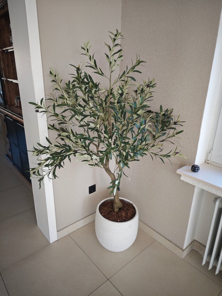 Olijfboom kunst, Ophalen, Binnen, Groen, Kunstplant