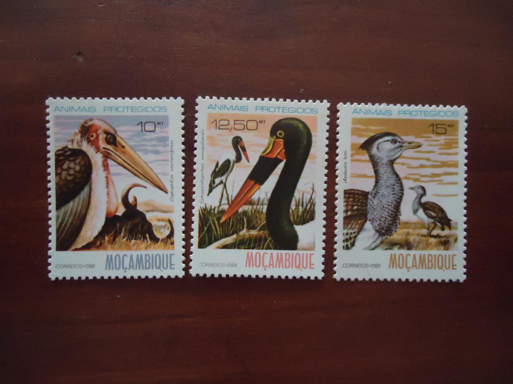 Vogels Mocambique 1981, mi. 801-03 postfris/ongebruikt, Ophalen of Verzenden, Postfris, Dier of Natuur