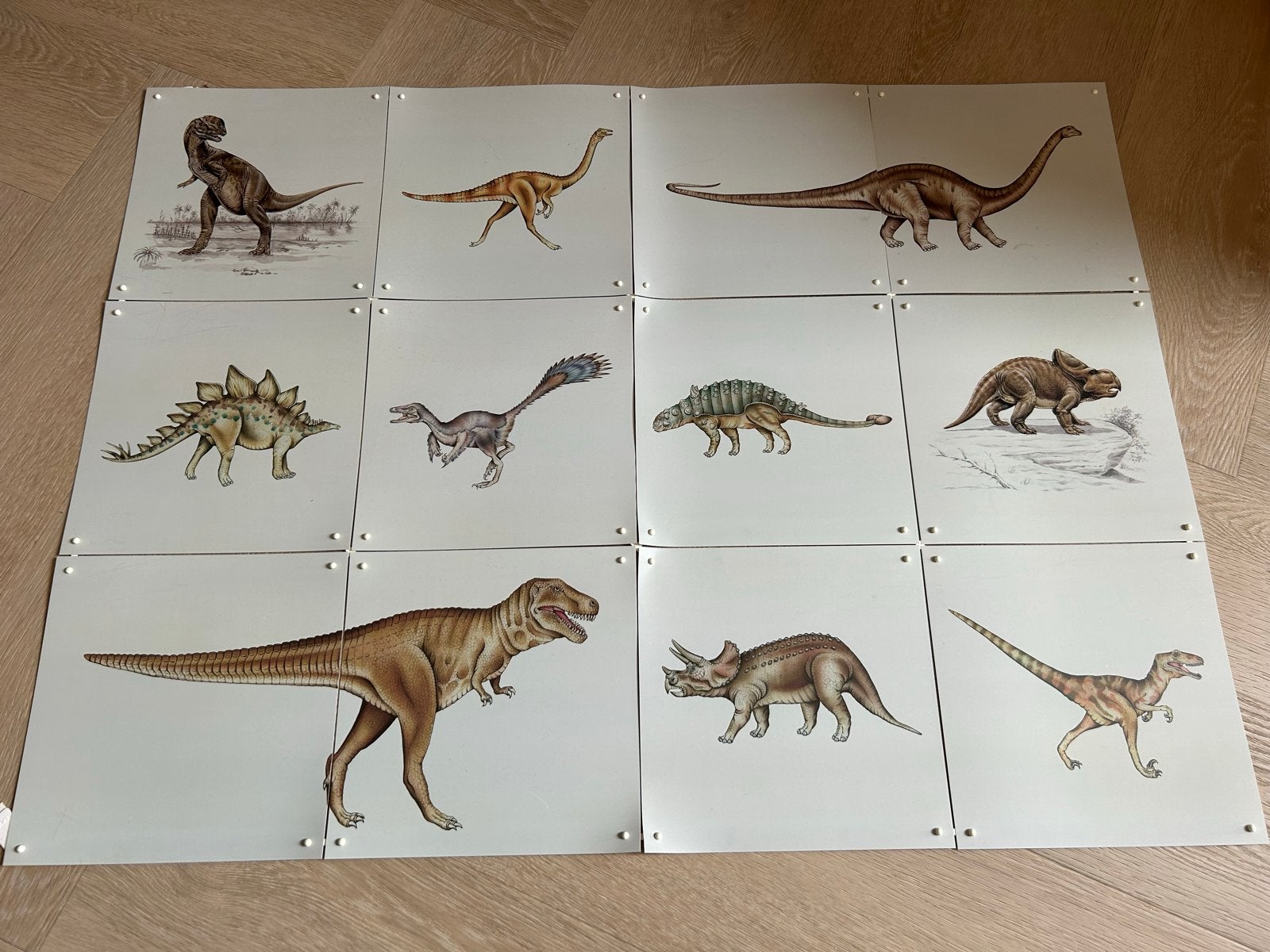 Ixxi wanddecoratie met diverse dinosaurussen, Ophalen, Gebruikt, Overige soorten, Overige typen