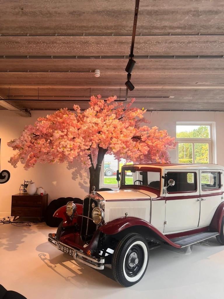 Renault Monaquatre uit 1930., Auto's, Renault, Stof, Overige modellen, Beige, Bedrijf