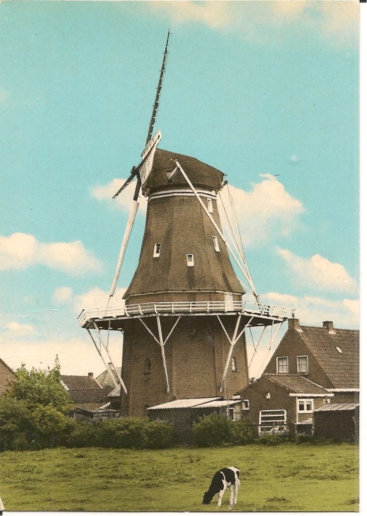 Ansichtkaart Wolvega, Molen - Uitgave Zwikstra's Boekhandel, Ophalen of Verzenden, Voor 1920, Gelopen, Friesland
