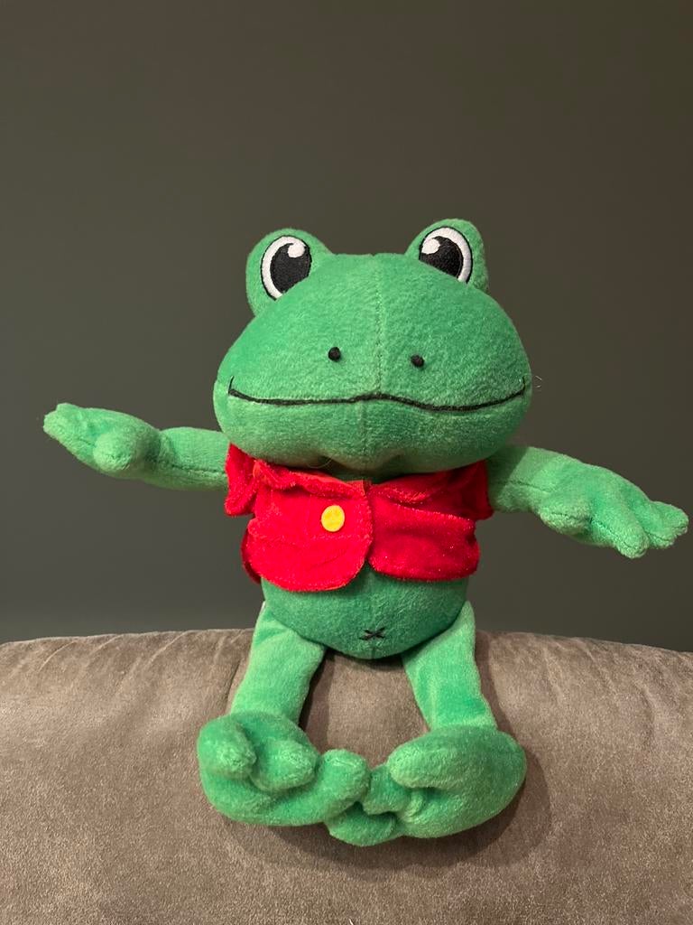 Gave Duinrell kikker knuffel 23cm, Ophalen of Verzenden, Zo goed als nieuw, Kikker