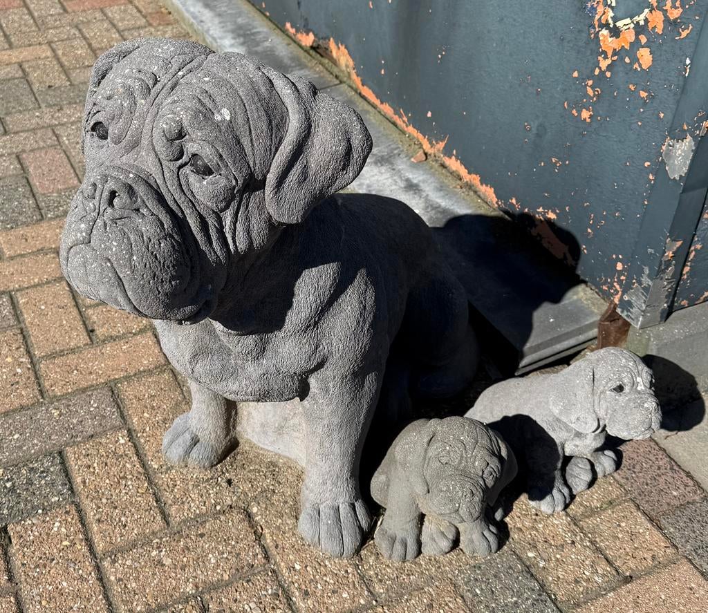 Bordeauxdog Bordeaux dog met pups (origineel yovach beton ), Parvo, Bulldog, Meerdere dieren, Eén hond