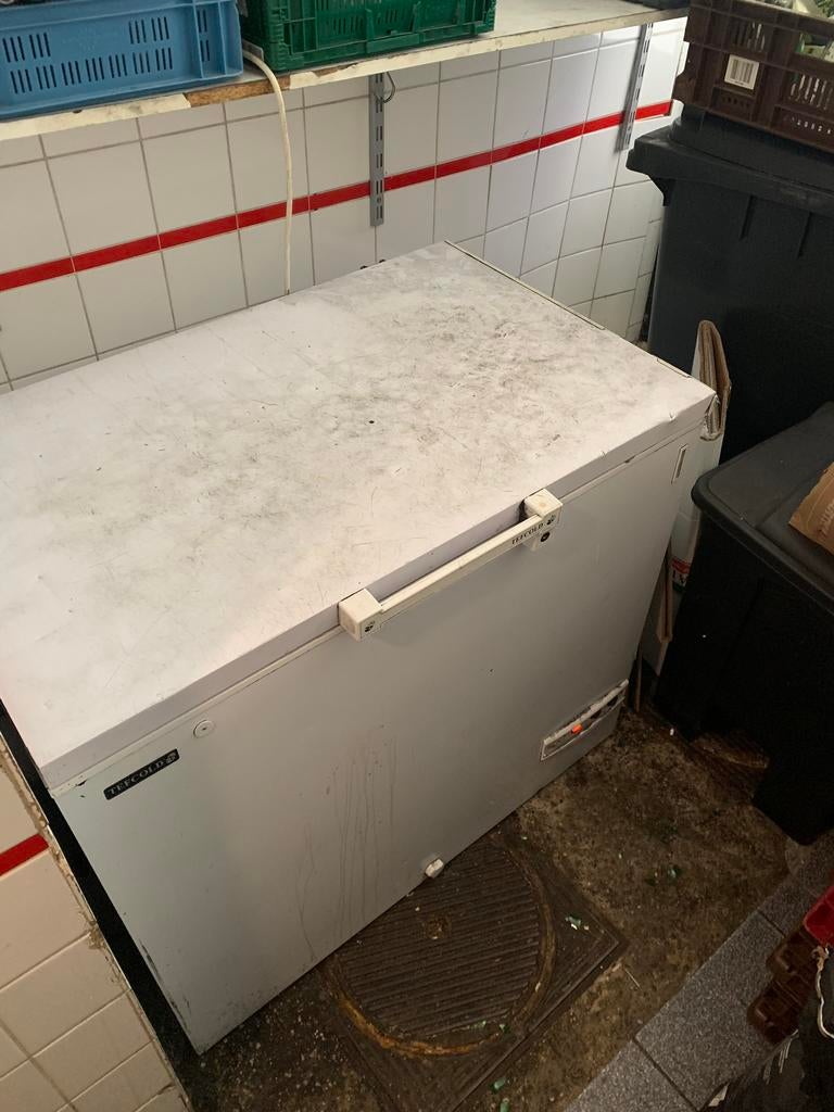 Vrieskist met inhoud, Witgoed en Apparatuur, Vriezers en Diepvrieskisten, Ophalen of Verzenden